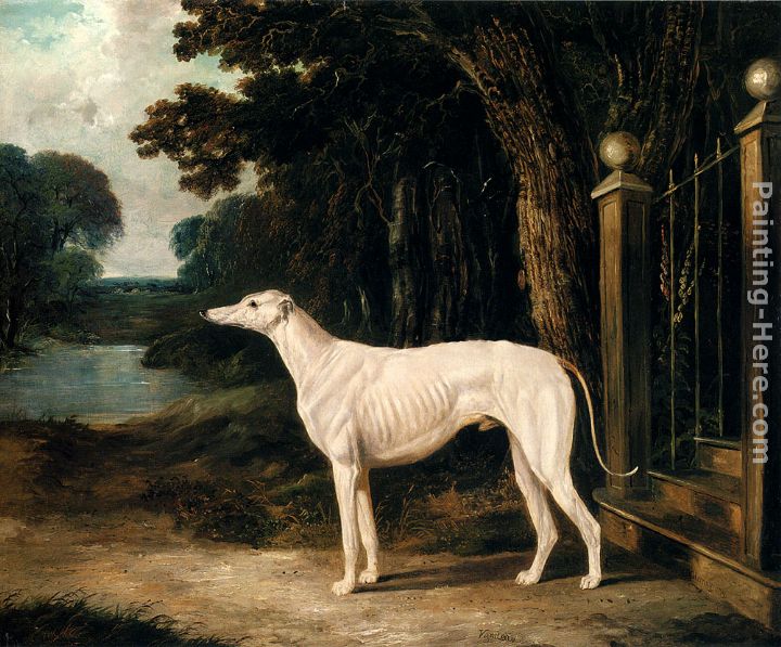 Vandeau, A White Greyhound painting - John Frederick Herring Snr Vandeau, A White Greyhound art painting